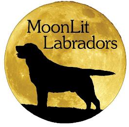 MOONLIT LABRADORS trademark