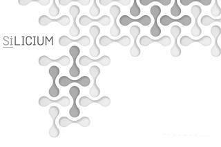 SILICIUM trademark