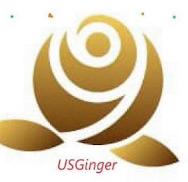 USGINGER trademark