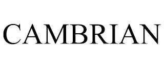 CAMBRIAN trademark