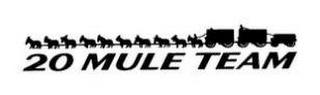 20 MULE TEAM trademark