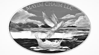 MAYIM CHAIM LLC trademark