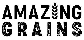 AMAZING GRAINS trademark