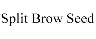 SPLIT BROW SEED trademark