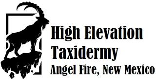 HIGH ELEVATION TAXIDERMY ANGEL FIRE, NEW MEXICO trademark