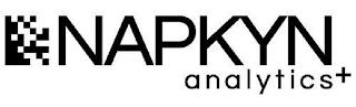 NAPKYN ANALYTICS + trademark