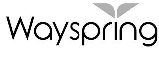 WAYSPRING trademark