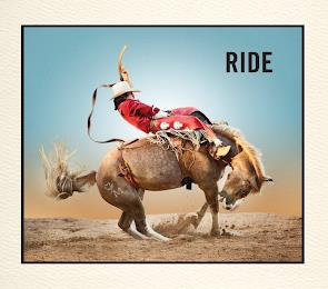 RIDE trademark