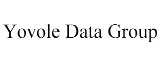 YOVOLE DATA GROUP trademark