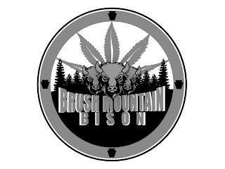 BRUSH MOUNTAIN BISON trademark