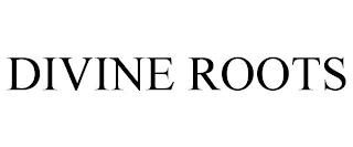 DIVINE ROOTS trademark