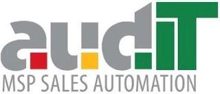 AUDIT MSP SALES AUTOMATION trademark