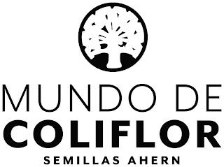 MUNDO DE COLIFLOR SEMILLAS AHERN trademark