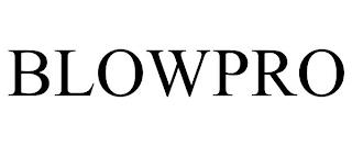 BLOWPRO trademark