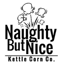 NAUGHTY BUT NICE KETTLE CORN CO. trademark