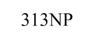 313NP trademark