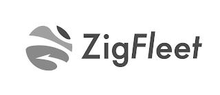 ZIGFLEET trademark