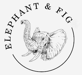 ELEPHANT & FIG trademark