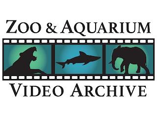 ZOO & AQUARIUM VIDEO ARCHIVE trademark