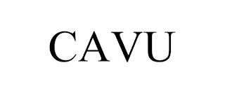 CAVU trademark