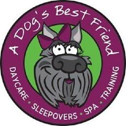 A DOG'S BEST FRIEND DAYCARE · SLEEPOVERS · SPA · TRAINING trademark