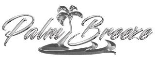 PALM BREEZE trademark