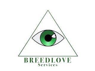 BREEDLOVE SERVICES trademark