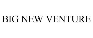 BIG NEW VENTURE trademark