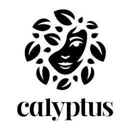 CALYPTUS trademark