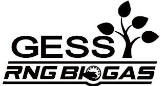 GESS RNG BIOGAS trademark