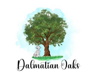 DALMATIAN OAKS trademark