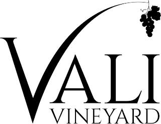 VALI VINEYARD trademark