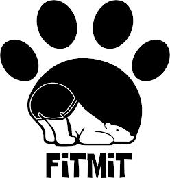 FITMIT trademark