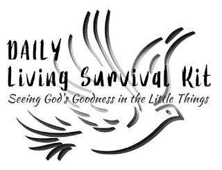 DAILY LIVING SURVIVAL KIT SEEING GOD'S GOODNESS IN THE LITTLE THINGS trademark