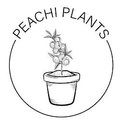 PEACHI PLANTS trademark