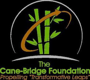 THE CANE-BRIDGE FOUNDATION PROPELLING "TRANSFORMATIVE LEAPS" trademark