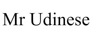 MR UDINESE trademark