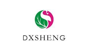 DXSHENG trademark