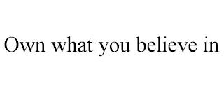 OWN WHAT YOU BELIEVE IN trademark