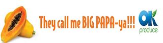 THEY CALL ME BIG PAPA-YA!!! OK PRODUCE trademark