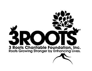 3ROOTS 3ROOTS CHARITABLE FOUNDATION, INC. ROOTS GROWING STRONGER BY ENHANCING LIVES. trademark