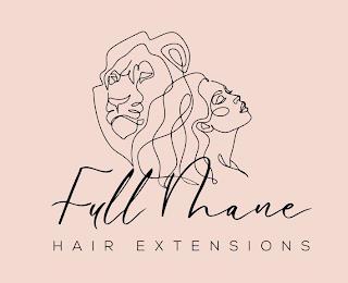 FULL MANE HAIR EXTENSIONS trademark