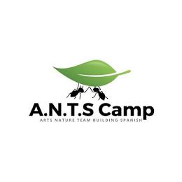 A.N.T.S. CAMP ARTS NATURE TEAM BUILDING SPANISH trademark