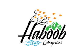 HABOOB ENTERPRISES trademark