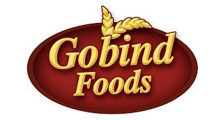 V GOBIND FOODS trademark