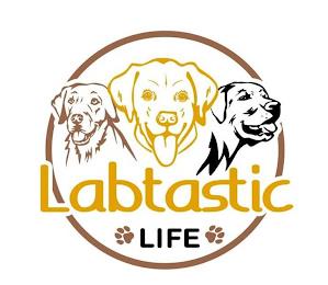 LABTASTIC LIFE trademark