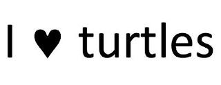 I TURTLES trademark