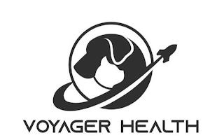 VOYAGER HEALTH trademark