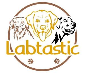 LABTASTIC trademark