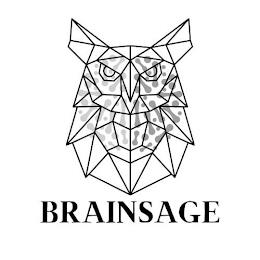 BRAINSAGE trademark